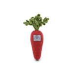 cenoura-algodao-biologico_