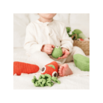 cenoura-vegetais-algodao-biologico